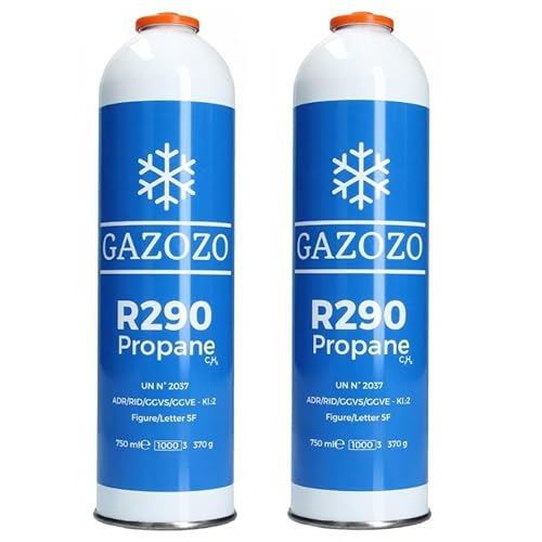 Kältemittel R290-750ml (2x 750ml) von Hoogana
