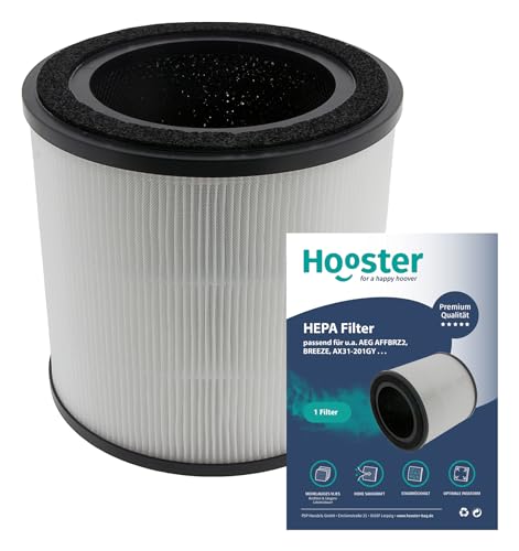 1 Filter kompatibel mit AEG AX31-201GY Luftreiniger | Ersatz für AEG AFFBRZ2 BREEZE Luftfilter 1 Filter kompatibel mit AEG AX31-201GY Luftreiniger | Ersatz für AEG AFFBRZ2 BREEZE Luftfilter von Hooster