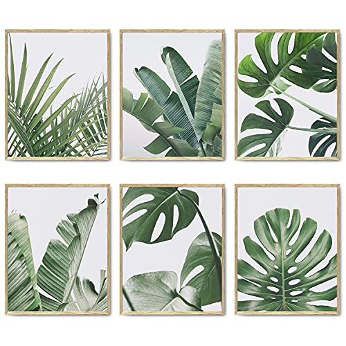 HoozGee Botanische Wandkunstdrucke Set mit 6 tropischen Blättern Dekor Pflanze Blatt Wandkunst Leinwand Drucke für Wanddekoration Grün Wandkunst Poster Set für Wohnzimmer Dekor (20,3 x 25,4 cm von HoozGee