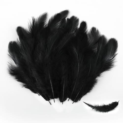 Federn, 200 Stück 7-12cm Federn zum Basteln, Natürliche Feder, Bastelfedern Set für Masken, Traumfänger, Ohrringe, Kunsthandwerk, Hochzeiten, Zuhause, Ostern, Erntedankfest und Halloween (Schwarz) Federn, 200 Stück 7-12cm Federn zum Basteln, Natürliche Feder, Bastelfedern Set für Masken, Traumfänger, Ohrringe, Kunsthandwerk, Hochzeiten, Zuhause, Ostern, Erntedankfest und Halloween (Schwarz) von Hopton