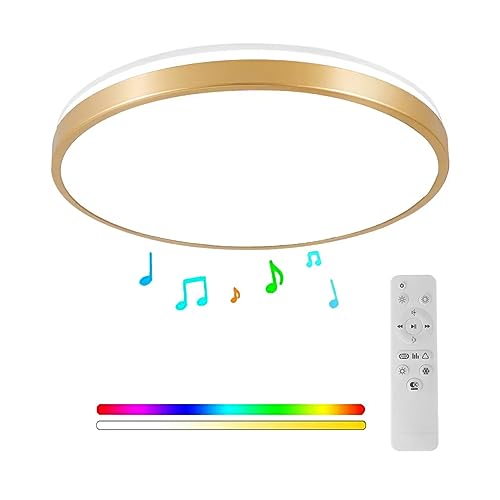 Horevo 30CM Bluetooth-Deckenleuchte mit Fernbedienung, 24W Champagnergoldene Deckenleuchte, Dimmbares und Farbwechselndes Licht mit Lautsprecherlicht Geeignet für Kinderzimmer Schlafgemach von Horevo