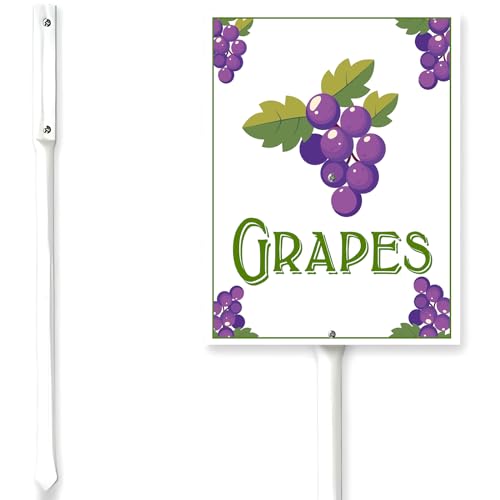 Horienteeon Gartenschilder für Gemüse mit Pfahl, Trauben, Gartenschilder für Pflanzen, Gartenetiketten, Outdoor, wasserdicht, Kräutergartenetiketten, 15,2 x 11,7 cm, dekorative Gartenanhänger für Horienteeon Gartenschilder für Gemüse mit Pfahl, Trauben, Gartenschilder für Pflanzen, Gartenetiketten, Outdoor, wasserdicht, Kräutergartenetiketten, 15,2 x 11,7 cm, dekorative Gartenanhänger für von Horienteeon