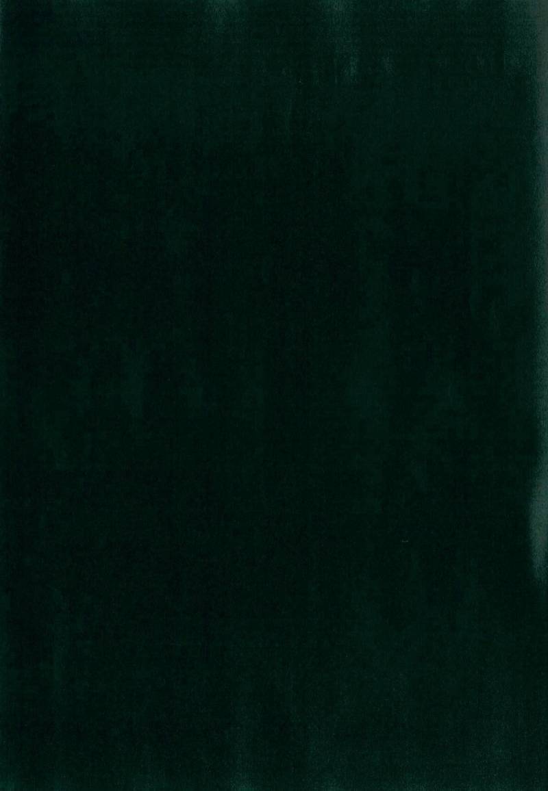 Tafelfolie Grün von Hornschuch