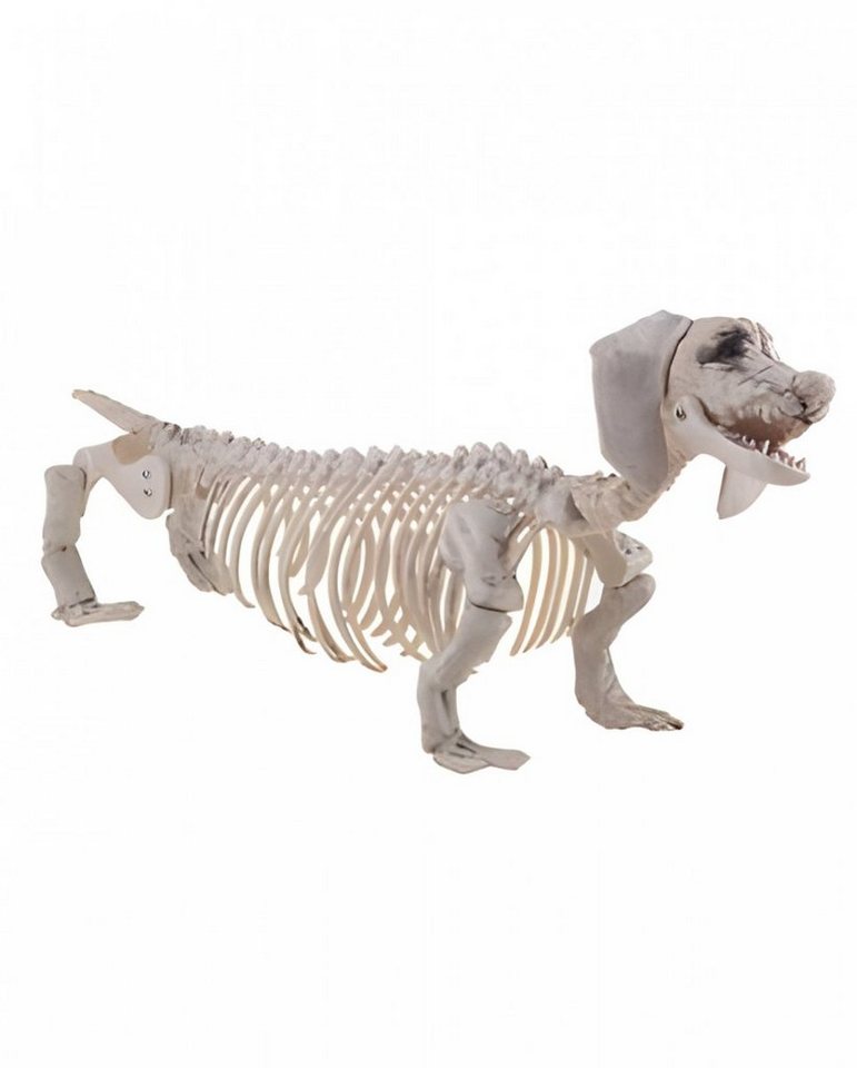 Horror-Shop Dekoobjekt Kunststoff Dackel Hundeskelett als Halloween Dekor von Horror-Shop