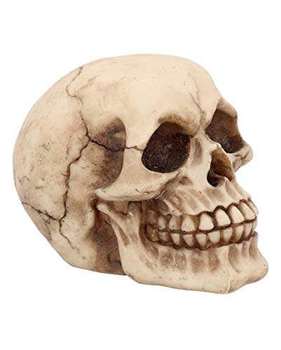 Horror-Shop Kleiner Breit Lachender Totenkopf 12cm von Horror-Shop