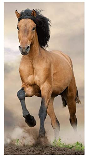 Horse Riding Pferde- tolle Gechenkidee für Kinder - Handtuch/Saunatuch/Strandtuch/Duschtuch/Badetuch - 70 x 140 cm - 100% Baumwolle (Mehrfarbig) von Horse Riding