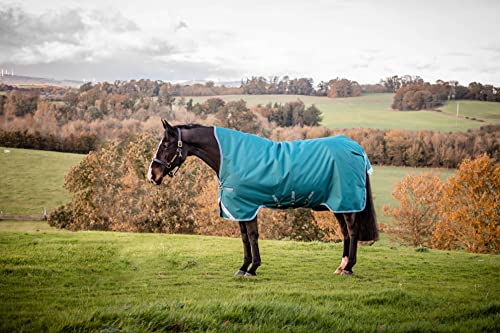 Horseware Amigo Bravo Turnout 12 Wug lite Storm Green Größe wählbar (125) von Horseware