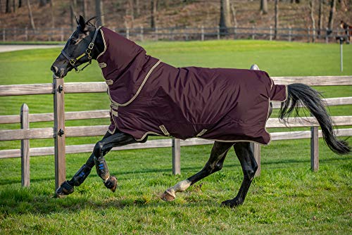 Horseware Amigo Hero Ripstop Plus 100g Weichen Teppich 130cm Fig/Navy & Tan von Horseware