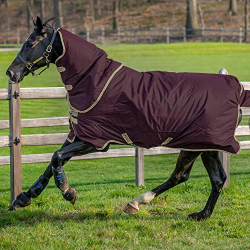 Horseware Amigo Hero Ripstop Plus 100g Weichen Teppich 145cm Fig/Navy & Tan von Horseware