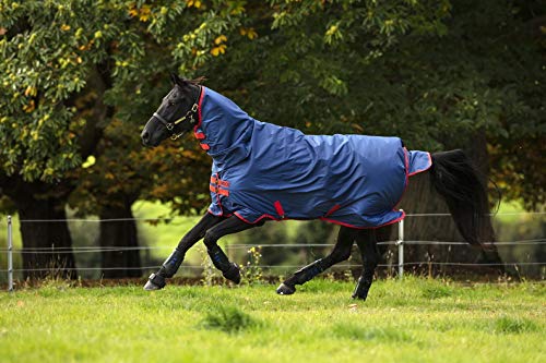 Horseware Amigo Mio All-In-One Turnout Heavy 350g Dark Blue & red Winterdecke mit Halsteil (160) von Horseware