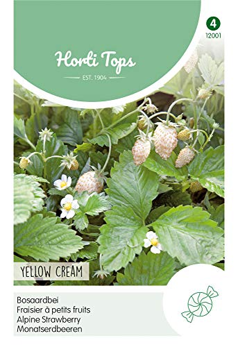 Hortitops 12001 Monatserdbeeren Yellow Cream (Erdbeersamen) von Hortitops