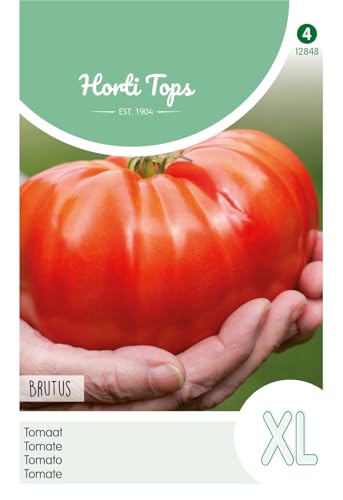 Hortitops 12848 Tomate Brutus (Tomatensamen) von Hortitops