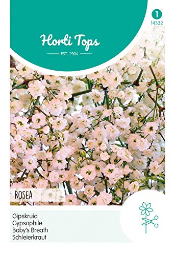 Hortitops 14332 Schleierkraut Rosa (Blumensamen) von Hortitops