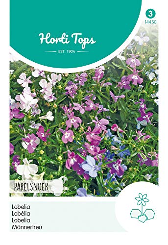 Hortitops 14450 Männertreu Perlenkette Mischung (Blumensamen) von Hortitops