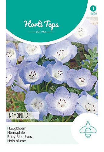 Hortitops 14520 Hain Blume Blau (Blumensamen) von Hortitops