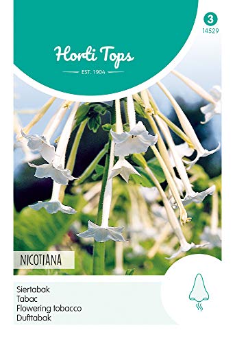Hortitops 14529 Dufttabak Weiß (Blumensamen) von Hortitops
