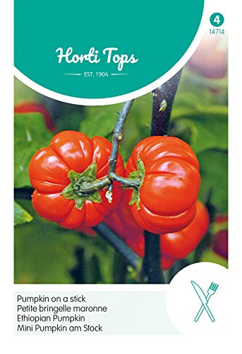 Hortitops 14714 Mini Kürbis am Stock (Zierkürbissamen) von Hortitops