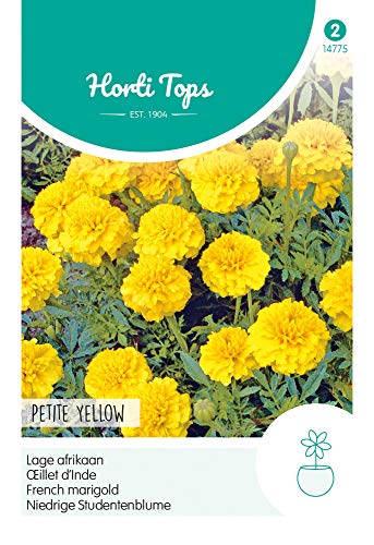 Hortitops 14775 Niedrige Studentenblume Petite Yellow (Studentenblumensamen) von Hortitops