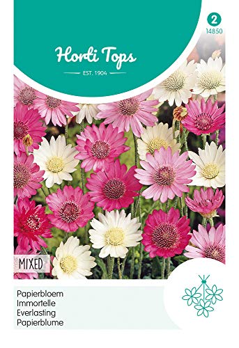 Hortitops 14850 Papierblume Mischung (Blumensamen) von Hortitops