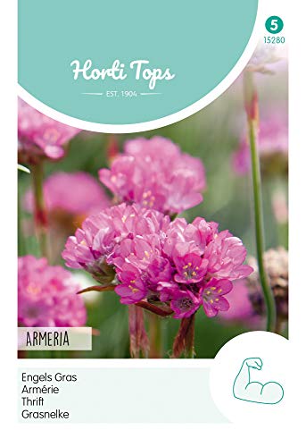 Hortitops 15280 Grasnelke Rosa (Nelkensamen) von Hortitops