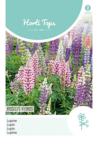 Hortitops 15420 Lupine Russell's Hybriden Mischung (Lupinensamen) von Hortitops