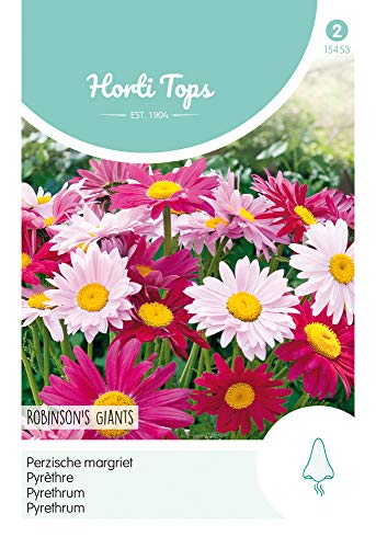 Hortitops 15453 Pyrethrum Robinsons Riesen Mischung (Blumensamen) von Hortitops