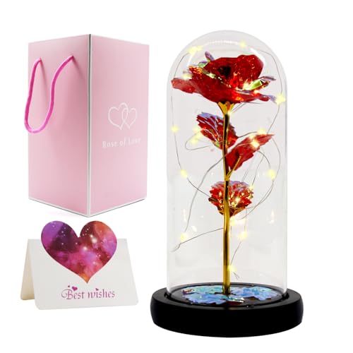 Horuili Ewige Rose unter Einer Glocke, LED Licht Rosen Geschenk, Geschenk für Valentinstag, Muttertag, Leuchtende Rosen in Einer Glaskuppel, Geschenk für Mutter Frauen zum Geburtstag von Horuili