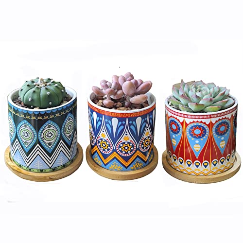 Sukkulenten Töpfe, Pflanztopf mit Drainage und Bambus Tablett Kleine Pflanztöpfe Kaktus Mini Blumen Töpfe mit Untertasse Garten Töpfe, 3er-Set (Mandala) von Hosmore