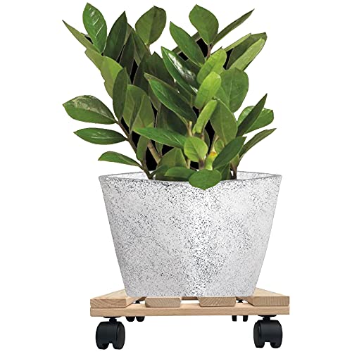 4x Rolluntersetzer eckig Pflanzroller 30x30 cm - max. 120 kg Traglast - aus Buchenholz - Stabil & robust - Für Pflanztöpfe, Möbel & schwere Gegenstände von Hossi's Wholesale