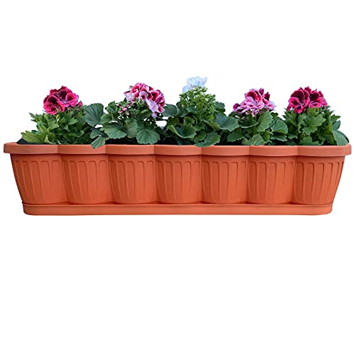 Hossi's Wholesale Blumenkasten 80cm, Balkonkasten mit Wasserspeicher, Pflanzkasten Terracotta im Wellendesign mit passendem Bewässerungsuntersetzer von Hossi's Wholesale