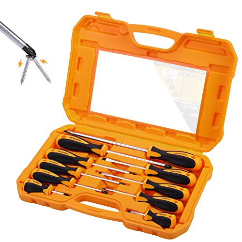 Hoteche Schraubendreher Set 10-tlg. Magnetischer Schraubenzieher Satz aus Chrom-Vanadium-Stahl mit Soft Grip Griff für Auto- und Möbelreparatur von Hoteche