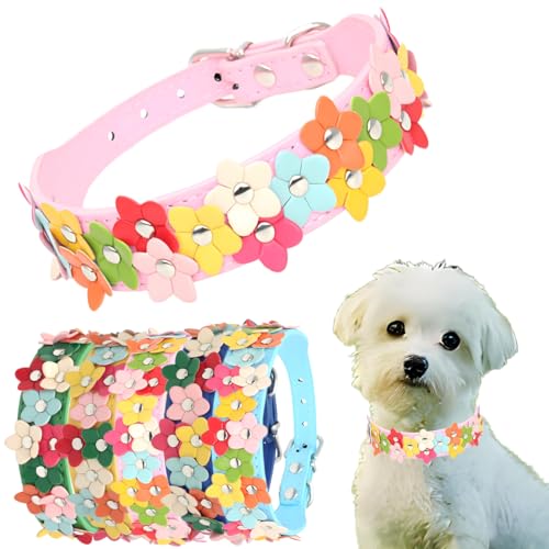 Kleines Hundehalsband mit Blume, niedliches, ausgefallenes Katzenhalsband, PU-Leder, Hundehalsband, für Mädchen und Jungen, verstellbar für XS, S, M, Rosa 1 von Hotlion