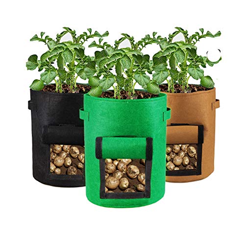 Houdao 3 Stück 10 Gallonen Kartoffel Pflanzsack Tomaten Kübel mit Sichtfenster Klettverschluss und Griffen Wiederverwendbar Pflanztasche für Tomaten Pflanzen Erdbeeren Gemüse Blumen von Houdao