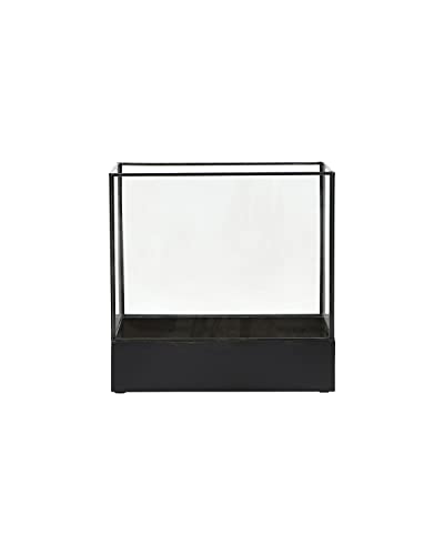 House Doctor 203990387 Vitrine, Plant, Schwarze Antike, Glas, l: 21 cm, w: 30 cm, h: 30 cm von House Doctor