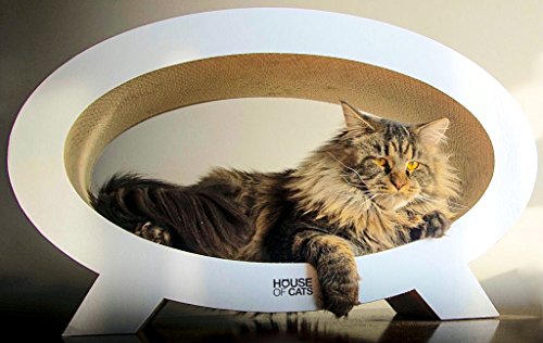 House of Cats - Kratzbaum für Katzen - Katzenkratzbaum - Katzenkratzbaum für Spiel und Entspannung der Katze - langlebige und robuste Materialien - Erholung für Katze - Elipso - Weiß - 68x27x42cm House of Cats - Kratzbaum für Katzen - Katzenkratzbaum - Katzenkratzbaum für Spiel und Entspannung der Katze - langlebige und robuste Materialien - Erholung für Katze - Elipso - Weiß - 68x27x42cm von House of Cats