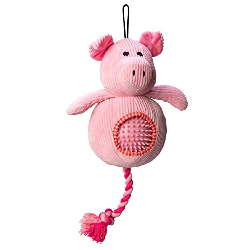 House of Paws Hundespielzeug mit Stachelball aus Cord von House of Paws