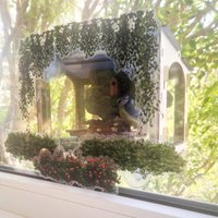 Vogelhäuschen Fenster. Ein Gemütlicher Platz Für Singvögel An Deinem Einzigartige Fensterdeko Im Stil Eines Diorama von HouseChirp