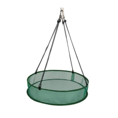 Vogelsamen, Muschelfangschale, zum Aufhängen, einfache Installation, Samen-Reifen, Gartenzubehör für Landwirte, Vogelfutterstation, 50,8 cm Durchmesser, Grün Vogelsamen, Muschelfangschale, zum Aufhängen, einfache Installation, Samen-Reifen, Gartenzubehör für Landwirte, Vogelfutterstation, 50,8 cm Durchmesser, Grün von HouseVibe