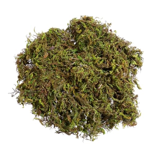 Housoutil 12packungen Künstliche Moosflechten Grün Simulation Grünpflanzen Blumentopf Zubehör Für Terrasse Garten Büro Modell Dekoration Jede Packung von Housoutil
