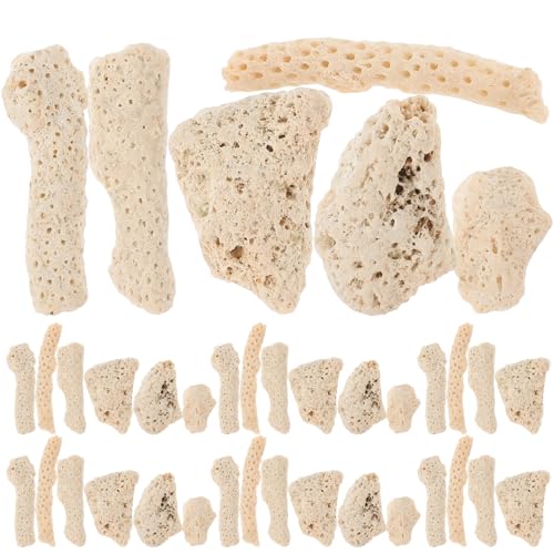 Housoutil Korallenbruch 1 Beutel Wiederverwendbares Korallengestein Mit Beutel 500 G Landschaftsdekoration Für Aquarianer Und Fischhalter Housoutil Korallenbruch 1 Beutel Wiederverwendbares Korallengestein Mit Beutel 500 G Landschaftsdekoration Für Aquarianer Und Fischhalter von Housoutil