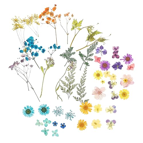 Housoutil 4taschen Beutel Getrocknete Gepresste Blumen Natürliche Bastelblumen Dekorative DIY-blumenaccessoires Für Handyschalen-Dekorationen von Housoutil