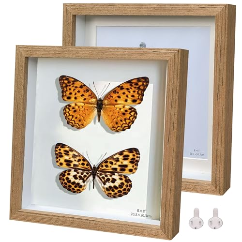 Houstimi 3D Bilderrahmen zum Befüllen Dunkles Holz Bilderrahmen quadratisch 20x20cm Objektrahmen 2er-Pack Schattenbox Fotorahmen Hergestellt aus Massivholz und Echtglas Tiefe 1,5 cm Houstimi 3D Bilderrahmen zum Befüllen Dunkles Holz Bilderrahmen quadratisch 20x20cm Objektrahmen 2er-Pack Schattenbox Fotorahmen Hergestellt aus Massivholz und Echtglas Tiefe 1,5 cm von Houstimi