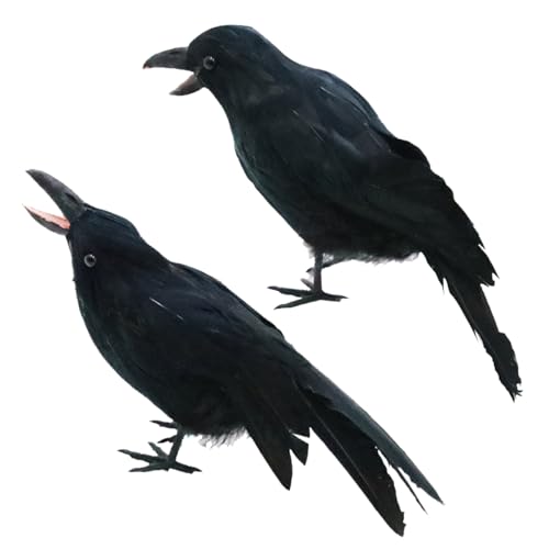 2 Stück Halloween-Dekoration Realistische Halloween-Krähe 24,1cm Und 24,9cm Große Schwarze Gefiederte Stehende Krähen Für Halloween-Dekoration Vögel Gruselige Lebensechte Gefälschte Raben-Dekoration H 2 Stück Halloween-Dekoration Realistische Halloween-Krähe 24,1cm Und 24,9cm Große Schwarze Gefiederte Stehende Krähen Für Halloween-Dekoration Vögel Gruselige Lebensechte Gefälschte Raben-Dekoration H von HoveeLuty