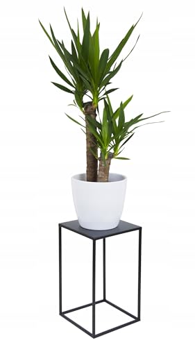 HowHomely Blumenständer Metall 40 x 24 cm - Stabiler und Fester Blumenhocker Metall - Schwarz Pflanzenständer für den Innenbereich wie Salon oder Schlafzimmer von HowHomely