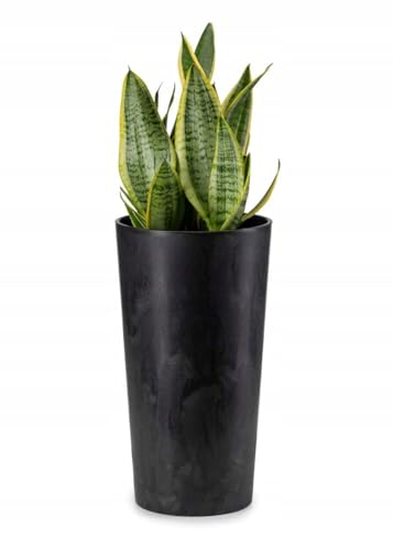 HowHomely Blumentopf Gross Hoch 47 cm mit Pflanzkübel Einsatz 26 cm Durchmesser - Schwarz Pflanzkübel Groß aus Kunststoff für Deko Wohnzimmer Garten oder Terrasse HowHomely Blumentopf Gross Hoch 47 cm mit Pflanzkübel Einsatz 26 cm Durchmesser - Schwarz Pflanzkübel Groß aus Kunststoff für Deko Wohnzimmer Garten oder Terrasse von HowHomely