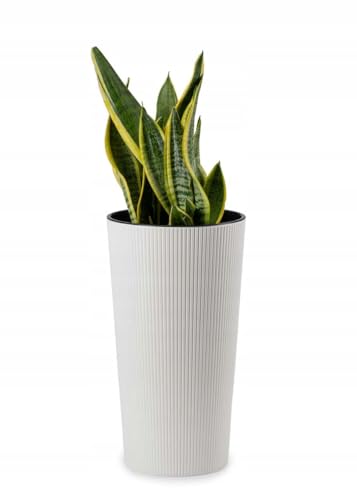 HowHomely Blumentopf Gross Hoch 47 cm mit Pflanzkübel Einsatz 26 cm Durchmesser - Weiß Pflanzkübel Groß aus Kunststoff für Deko Wohnzimmer Garten oder Terrasse von HowHomely