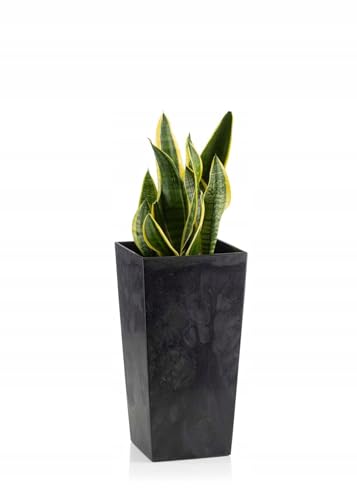 HowHomely Blumentopf Schwarz 57 x 30 x 30 cm Pflanzkübel Groß Außen - Blumenkübel mit Pflanzkübel Einsatz - Pflanzkübel Rechteckig Betonoptik für Wohnzimmer oder Garten von HowHomely