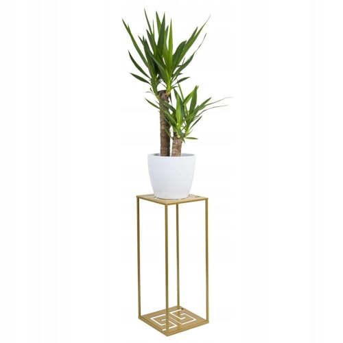 HowHomely Blumenständer Metall 60cm - Pflanzenständer Hoch Blumenregal - Blumenständer - Blumentopfständer Metall Pflanzenregal Indoor Gold von HowHomely