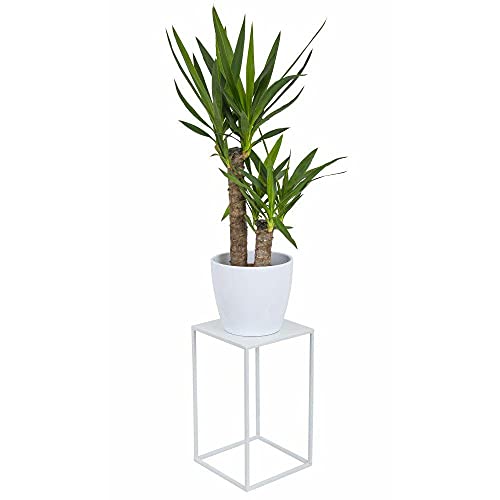 HowHomely Blumenständer Metall Weiß 40 cm Hoch - Solider und Robuster Blumenhocker Metall - Pflanzenständer für die Dekoration in Wohnzimmer Schlafzimmer oder Büro von HowHomely