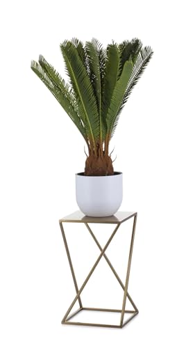 HowHomely Pflanzenständer Metall 24 x 40 cm - Stabiler und Fester Blumenhocker aus Metall - Gold Blumenständer im Loft-Stil für die Innendekoration HowHomely Pflanzenständer Metall 24 x 40 cm - Stabiler und Fester Blumenhocker aus Metall - Gold Blumenständer im Loft-Stil für die Innendekoration von HowHomely